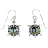 Native American Village Design Multicolor Turtle Water Wave Silver Hook Dangle Earrings WX78971